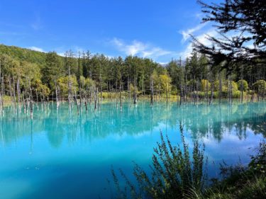 富良野、美瑛の絶景を堪能してサホロ湖キャンプ場で歓迎される：2022北海道キャンプツーリング焚き火（18）9月8日